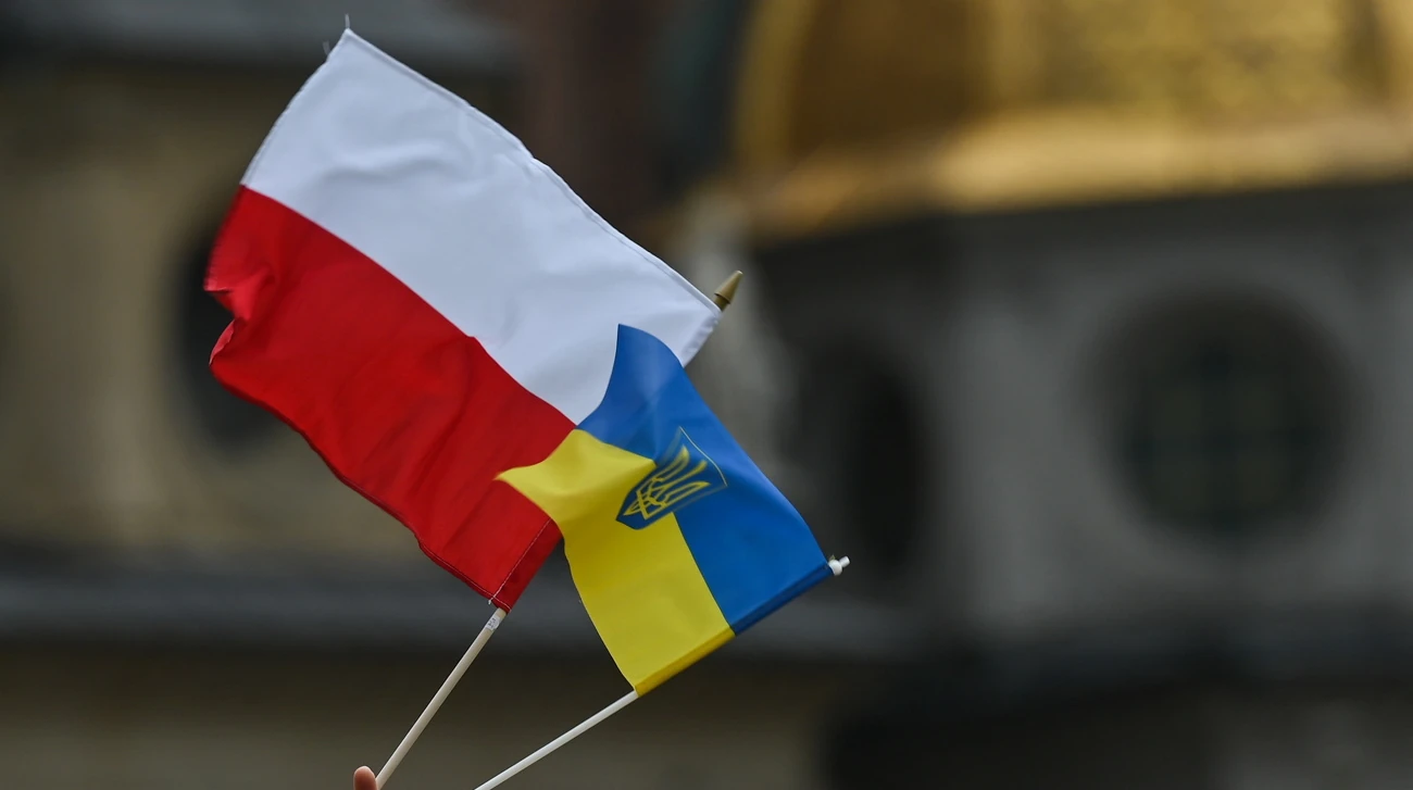Партія «Право і справедливість» запропонувала депортувати українців без роботи: що показало опитування